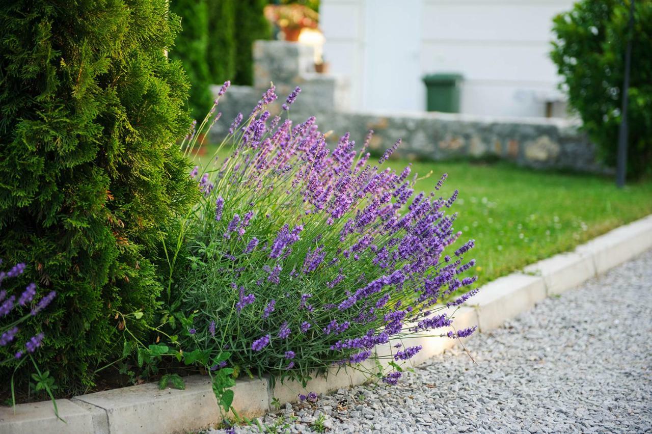 Lake House Sand Ohrid Exterior foto